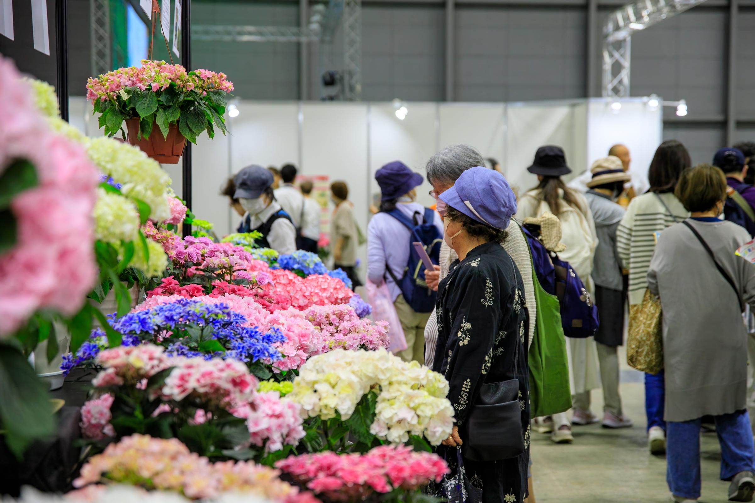 GWは「横フラ」で園芸の最新情報をチェック！